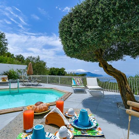Villa Venus In Penisola Sorrentina マッサ・ルブレンセ エクステリア 写真