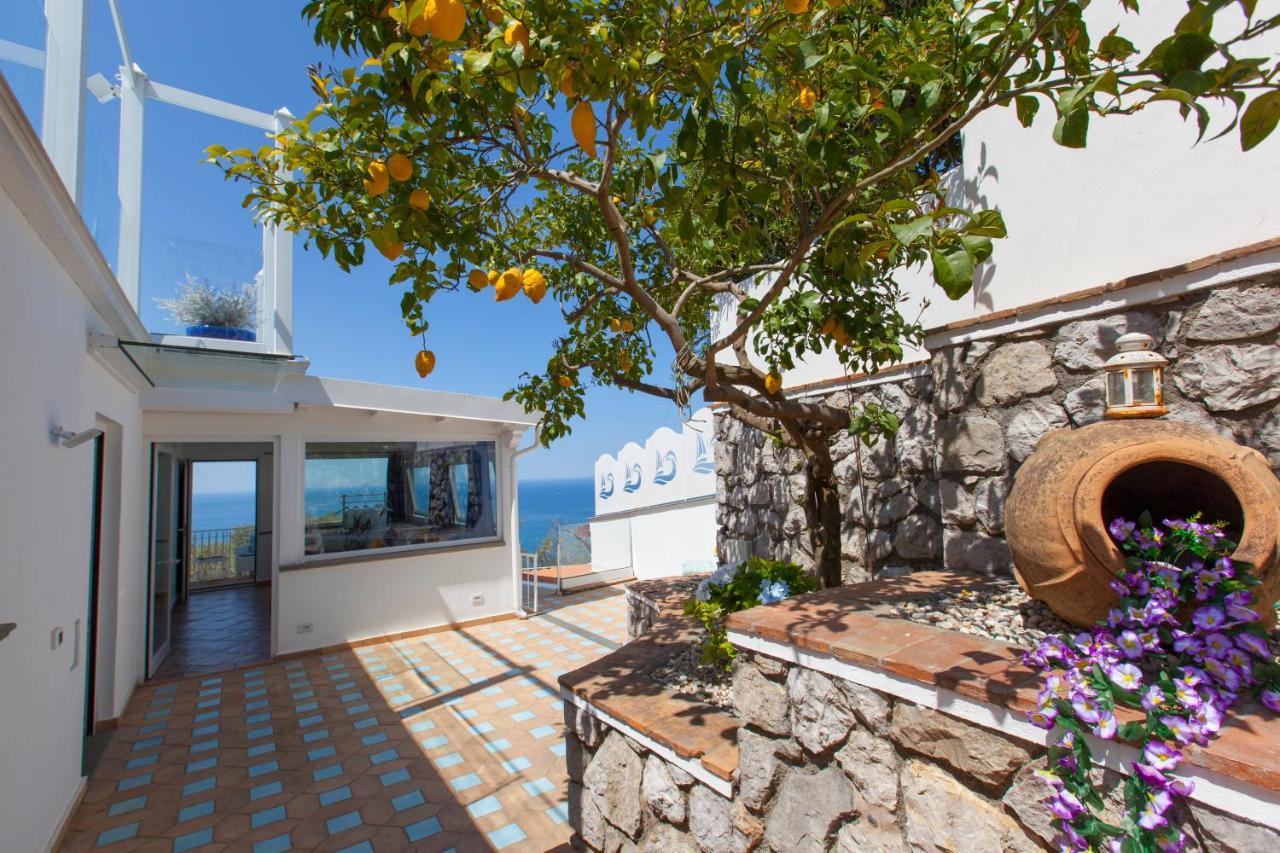 Villa Venus In Penisola Sorrentina マッサ・ルブレンセ エクステリア 写真