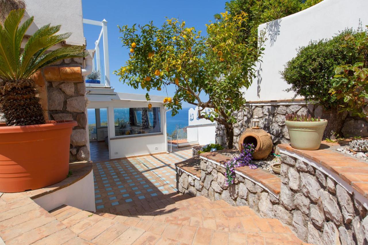 Villa Venus In Penisola Sorrentina マッサ・ルブレンセ エクステリア 写真