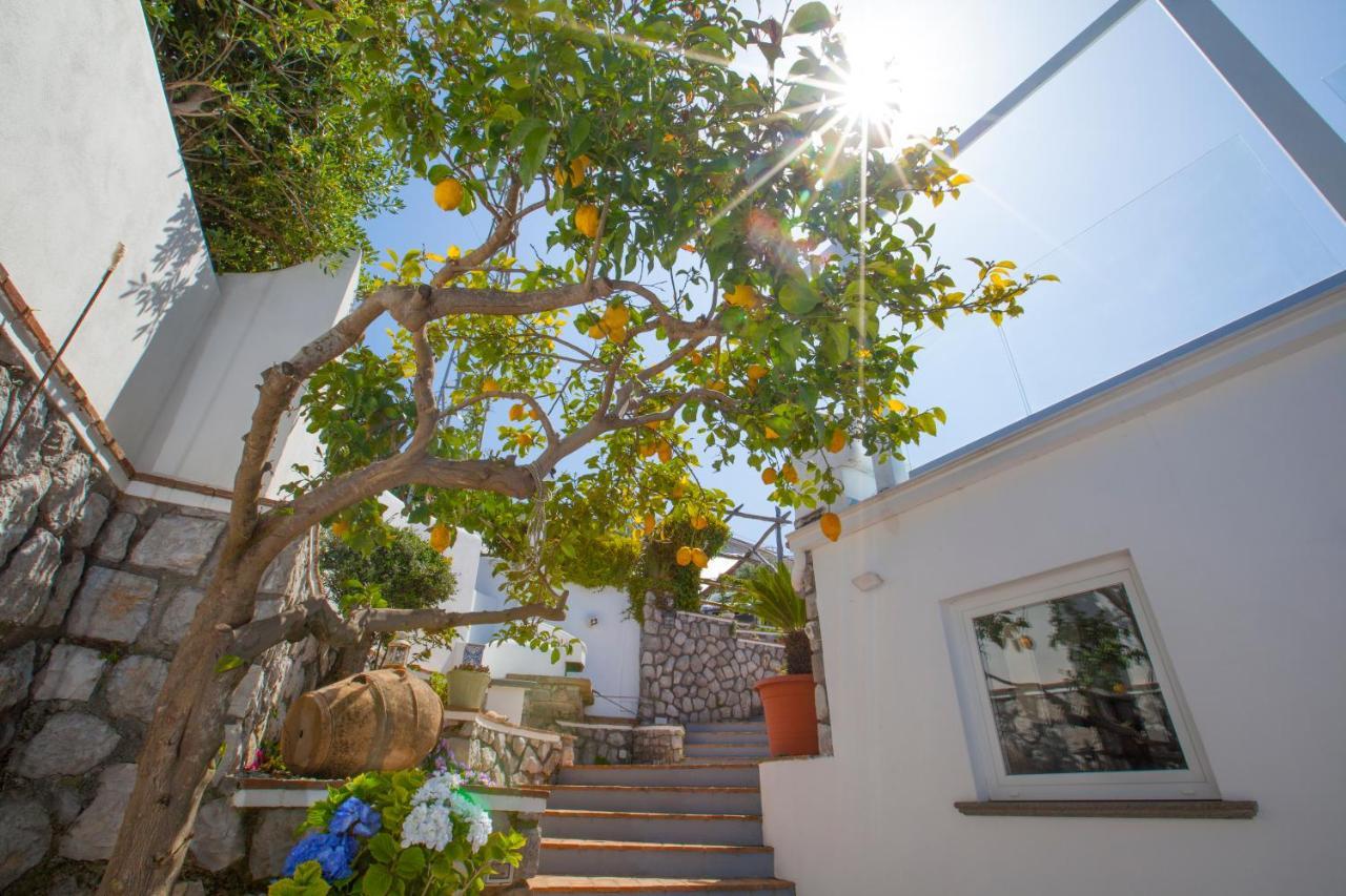 Villa Venus In Penisola Sorrentina マッサ・ルブレンセ エクステリア 写真