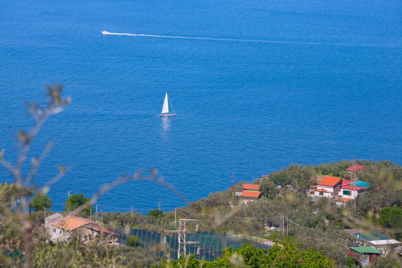 Villa Venus In Penisola Sorrentina マッサ・ルブレンセ エクステリア 写真